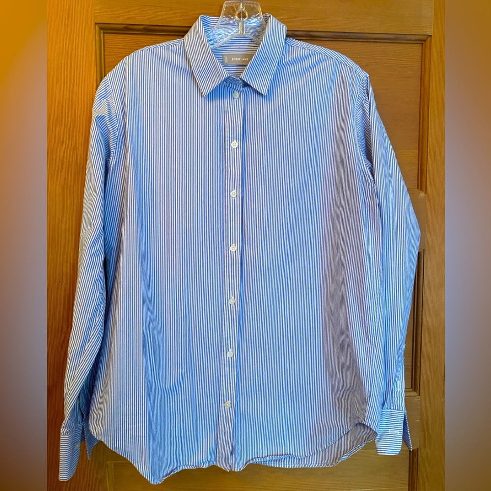 Everlane Striped Blue Classic Oxford Shirt
